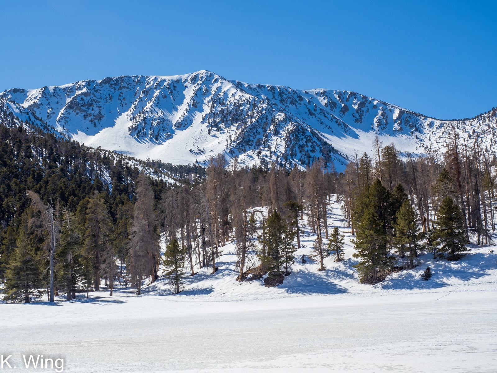 Jepson Peak in Snow