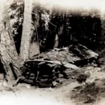 Dobbs Cabin in 1930, by Glen Dawson