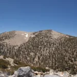 Gorgonio Approaching Summit Zone