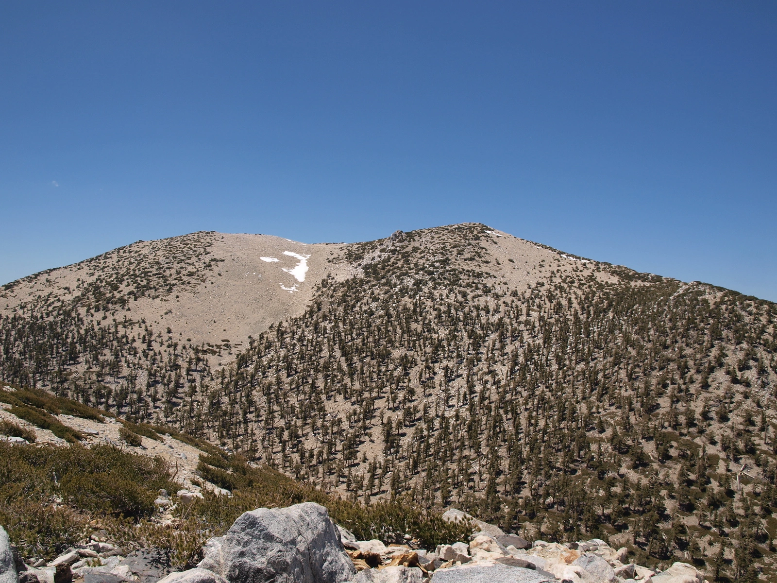 Gorgonio Approaching Summit Zone