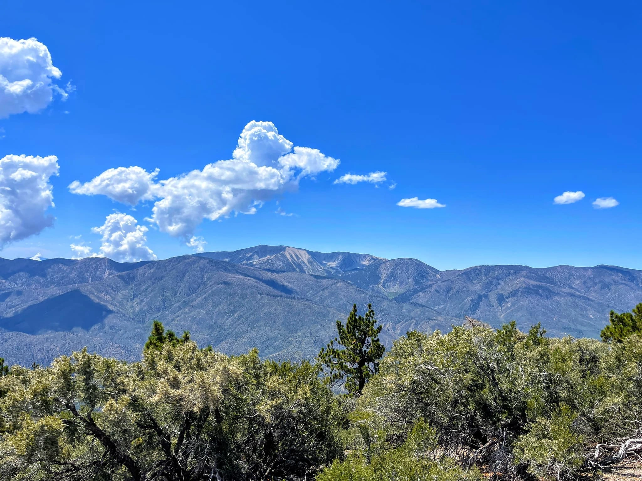 Gorgonio Distance, taken from Sugarloaf