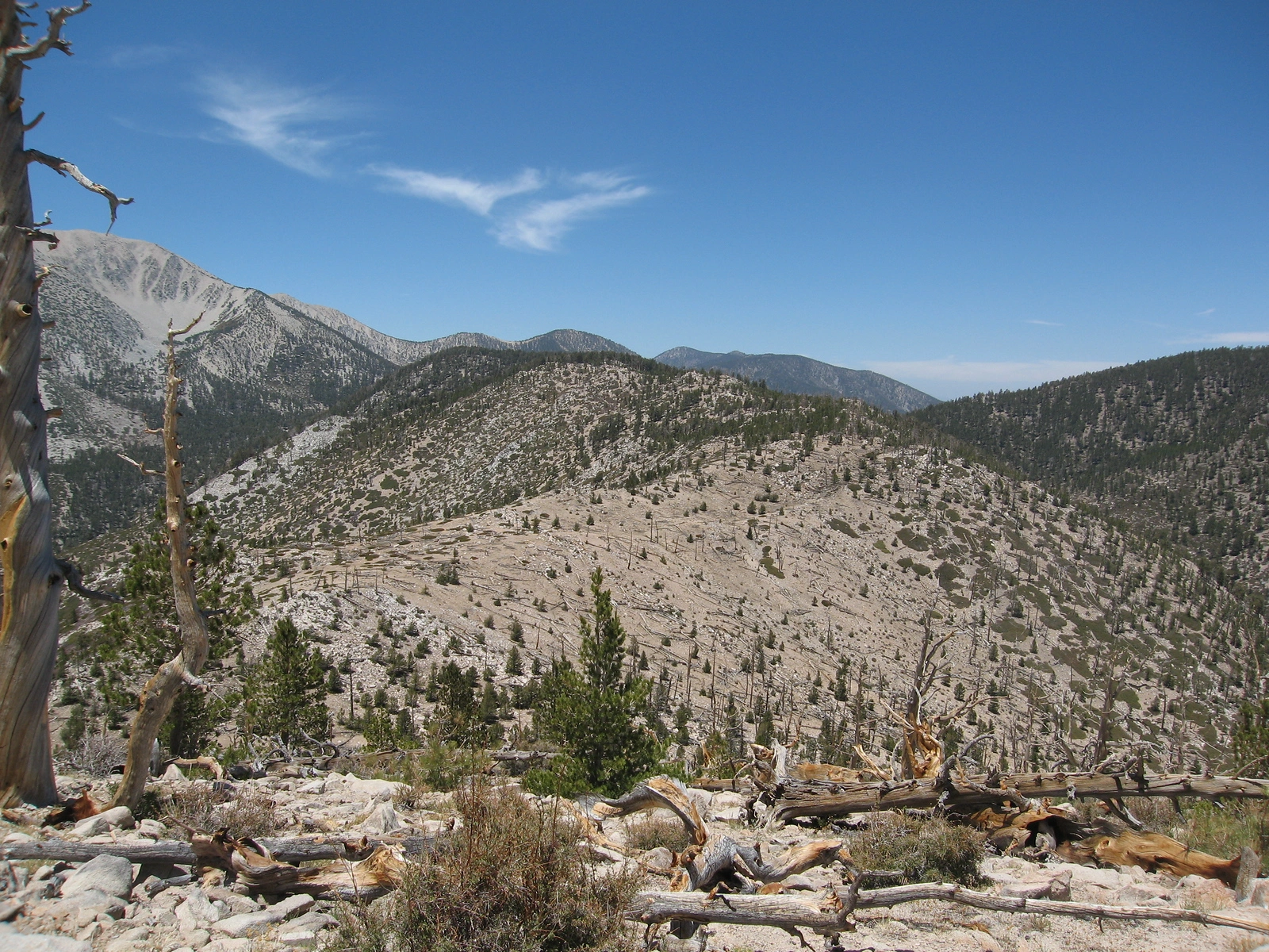 Lake Peak, taken from Ten Thousand Foot Ridge
