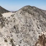 Bighorn