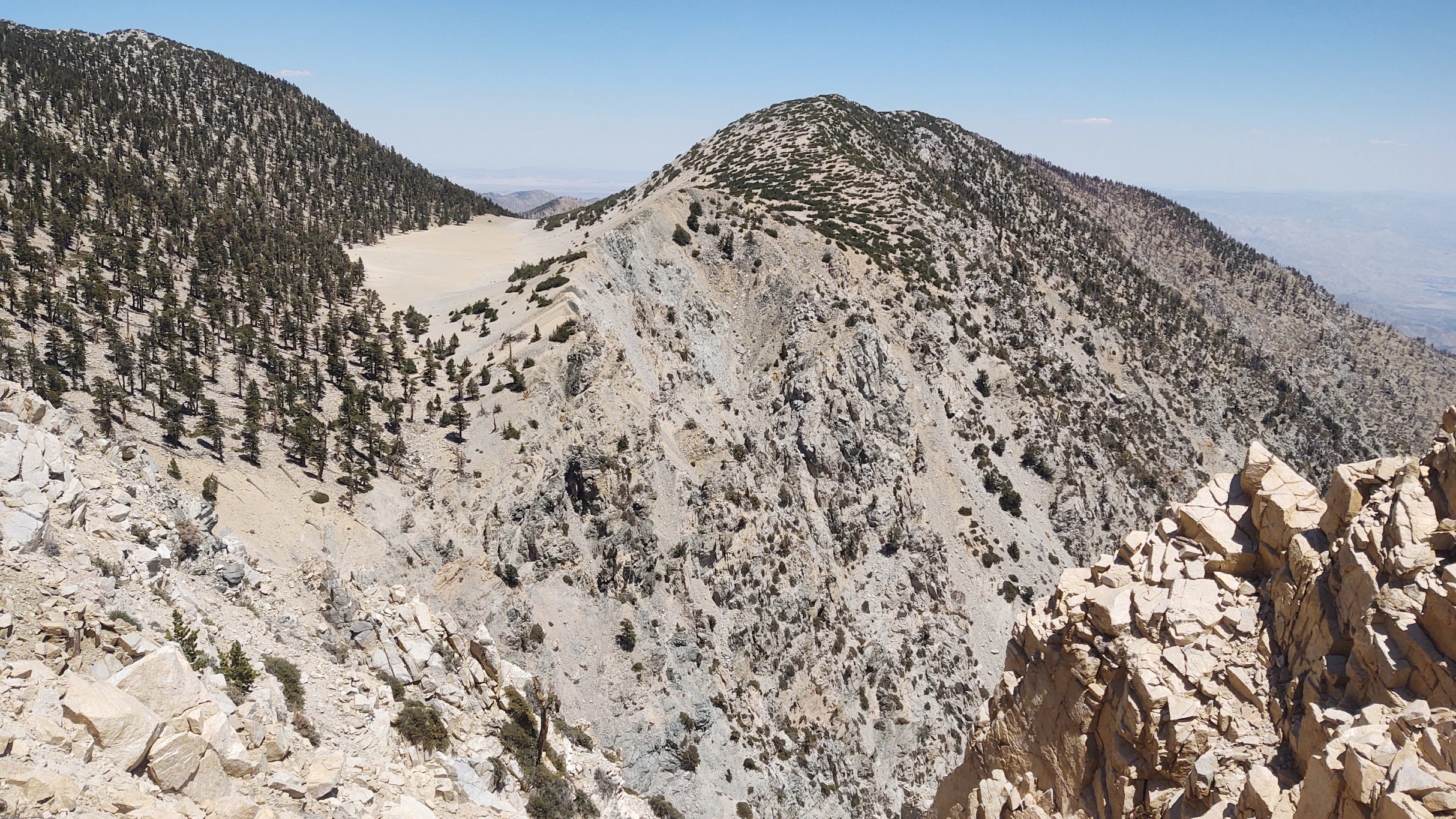 Bighorn