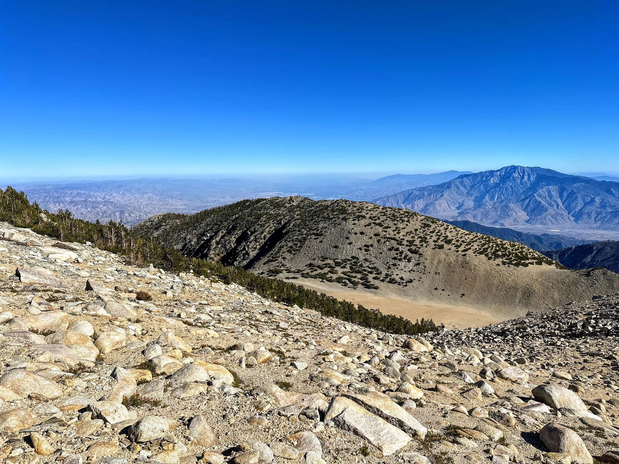 Bighorn, taken from Gorgonio