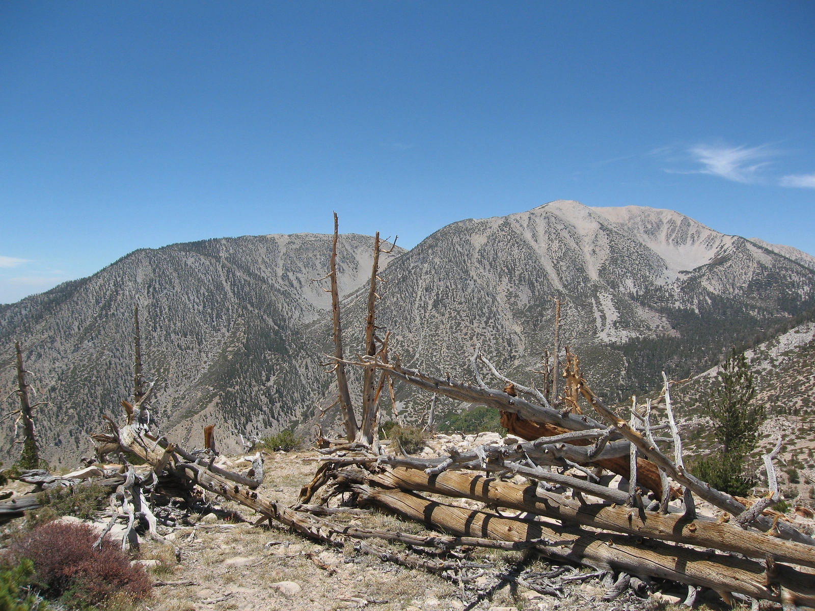 Bighorn Mountain and San Gorgonio