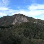 Allen, taken from Saddle