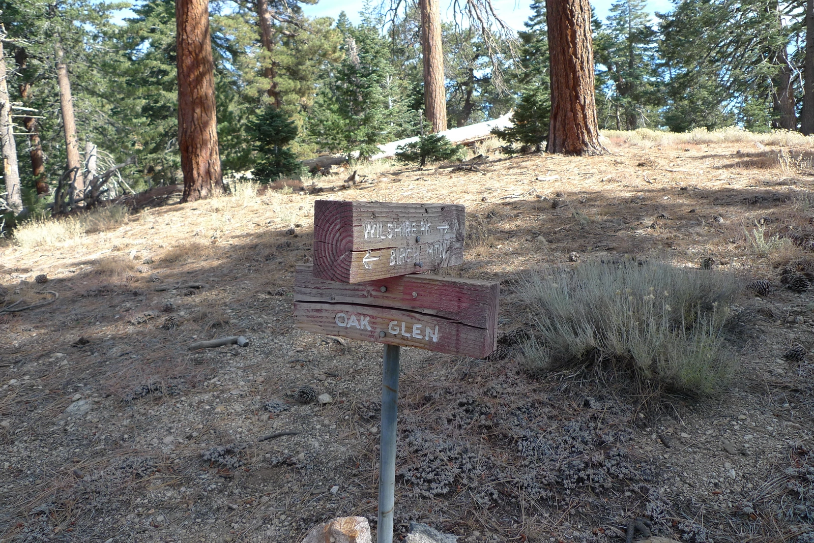 Wilshire Peak, taken from Cedar