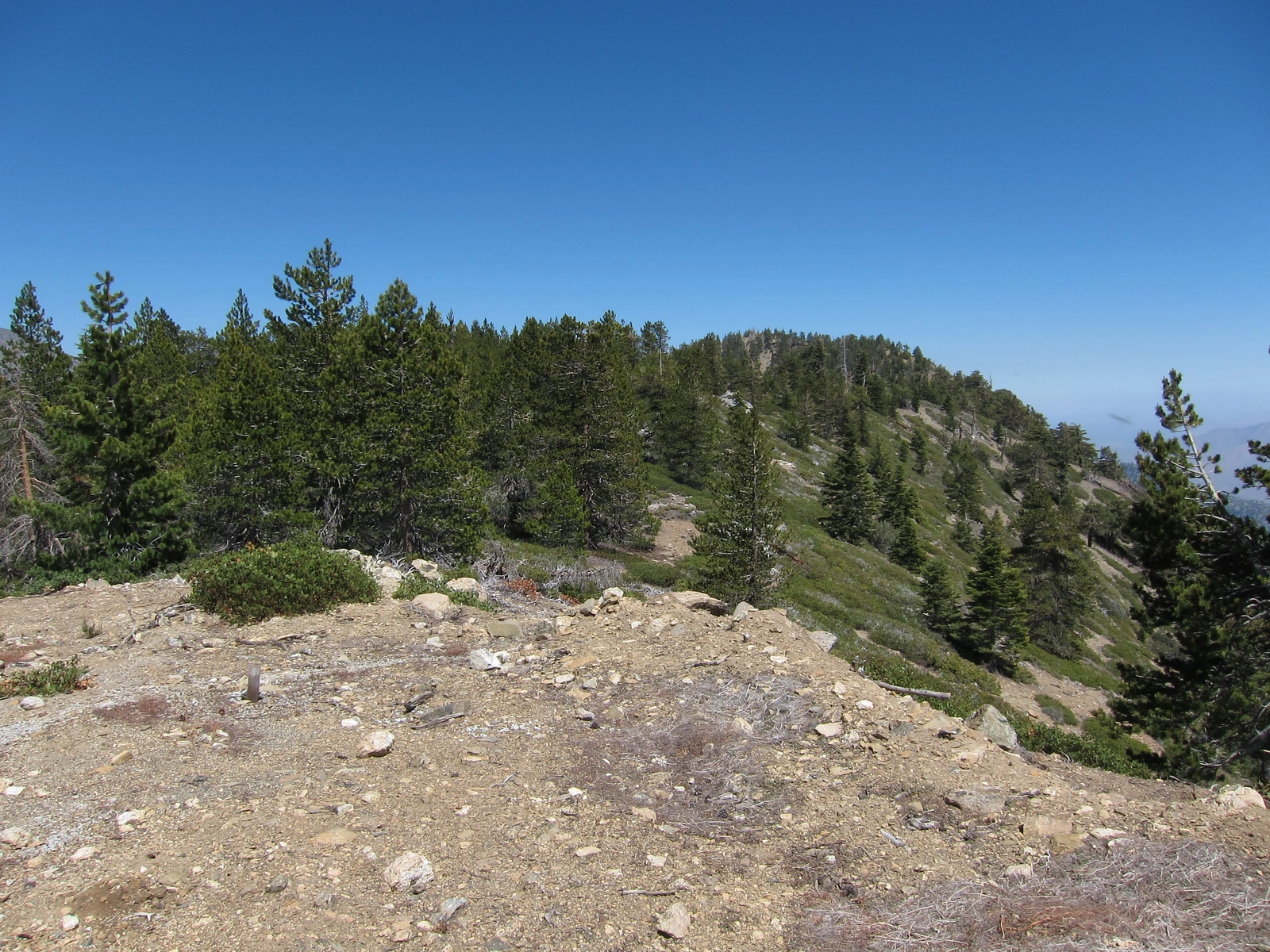 Little San Gorgonio, taken from Saddle
