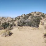 Eureka Summit