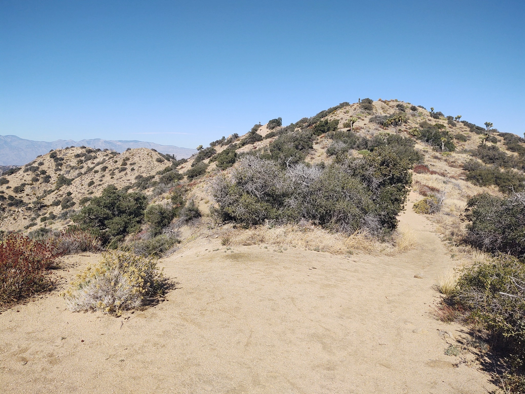Eureka Summit