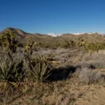 Eureka Peak