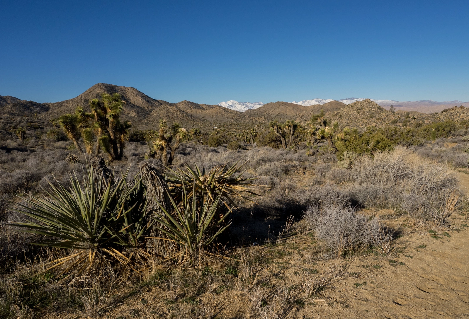 Eureka Peak