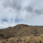Quail partlycloudy