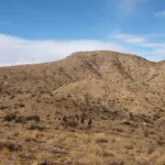 Quail Mountain, taken from Route #2