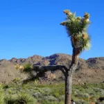 Queen Mountain