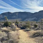 Ryan Mountain, taken from Back