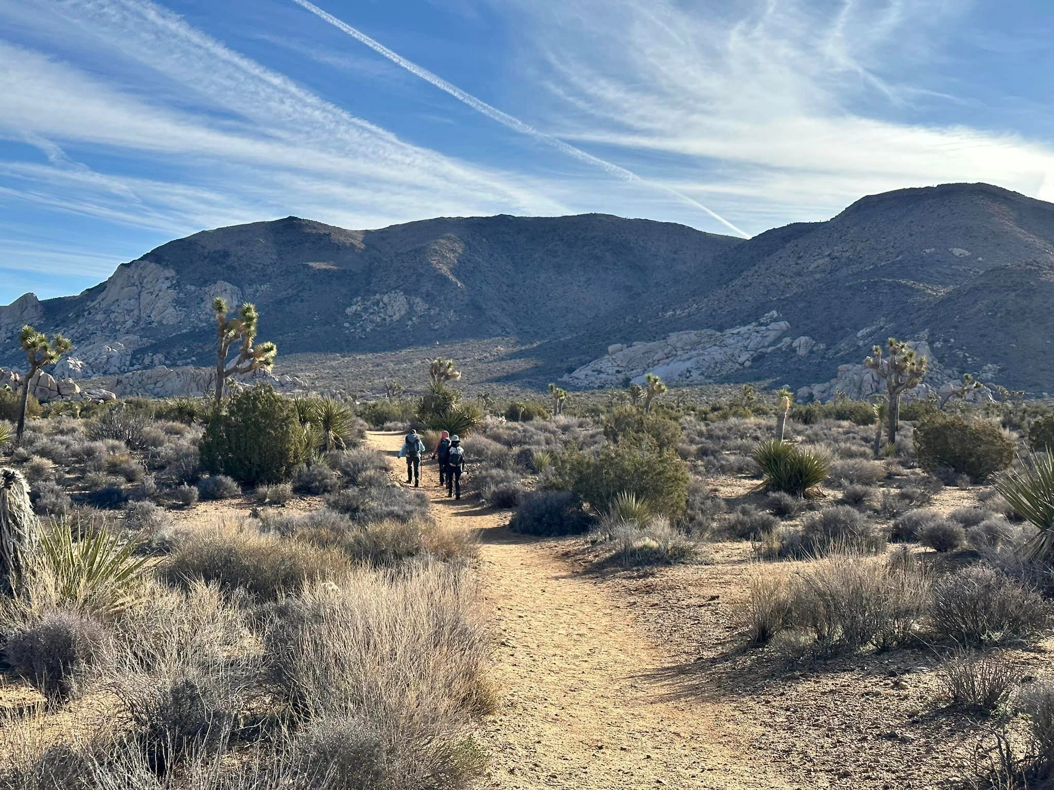Ryan Mountain, taken from Back