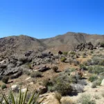 Mount Minerva Hoyt and Quail Mountain