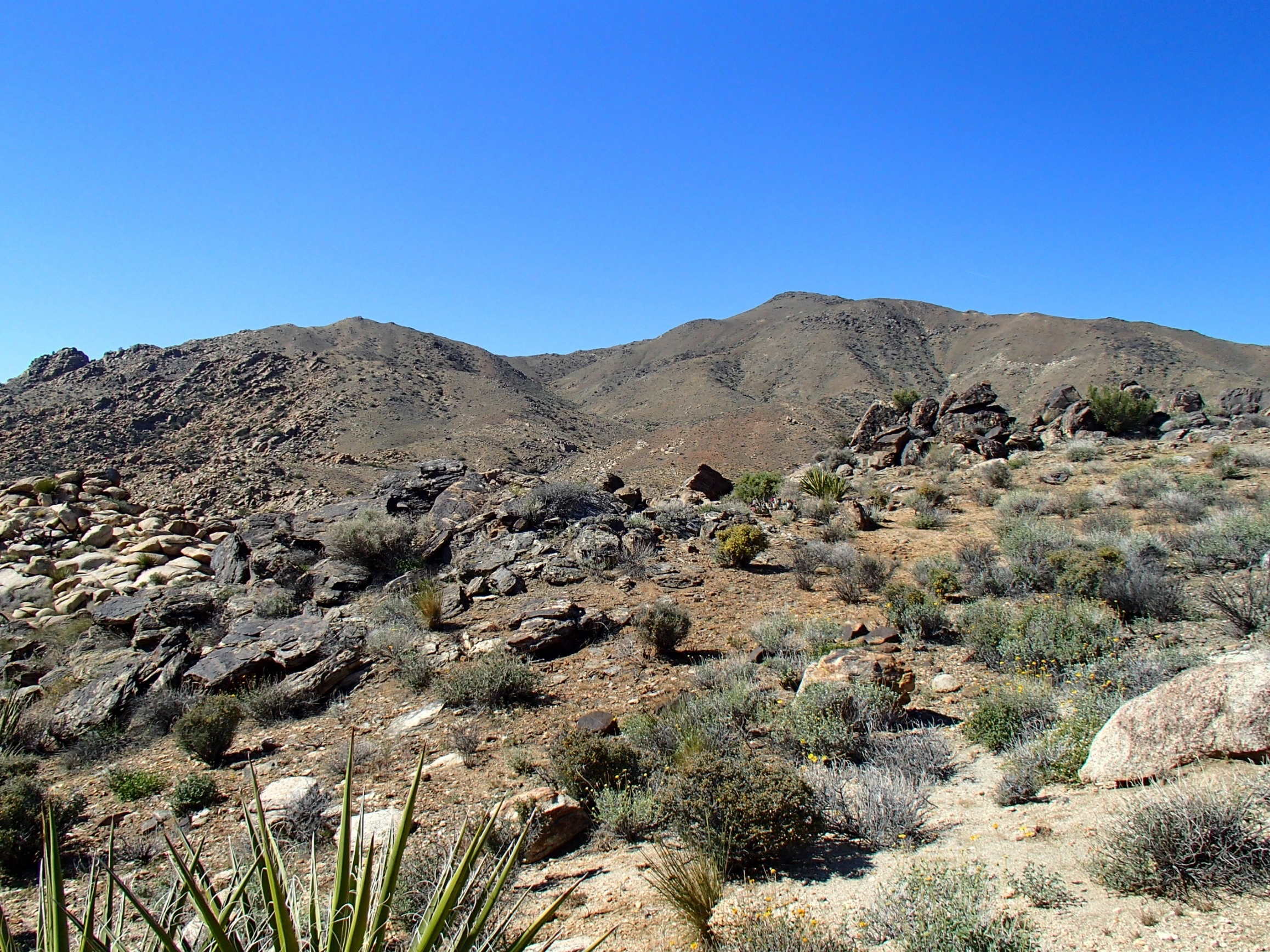 Mount Minerva Hoyt and Quail Mountain