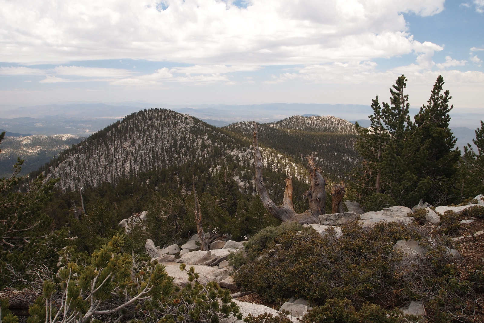 Jean Peak with Marion behind, taken from San Jacinto