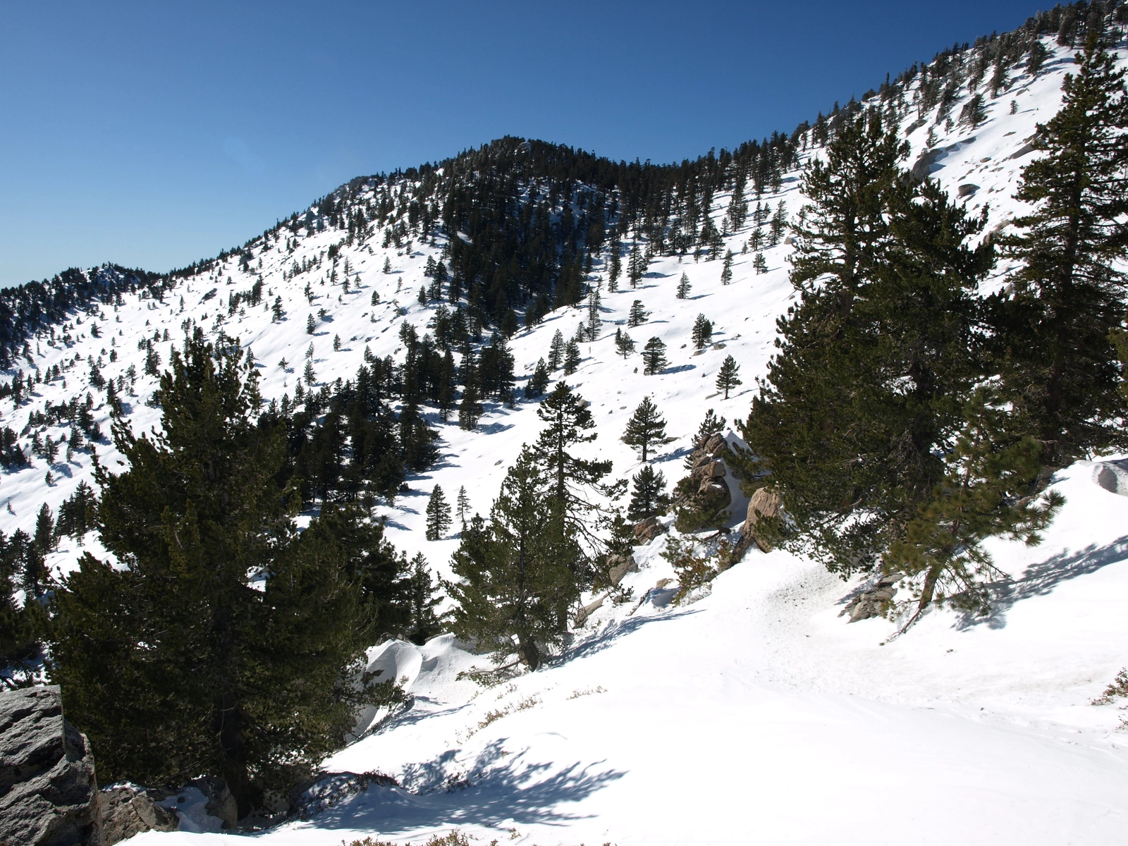 Marion, taken from Long Valley
