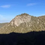 Suicide