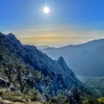 Lily, taken from Tahquitz