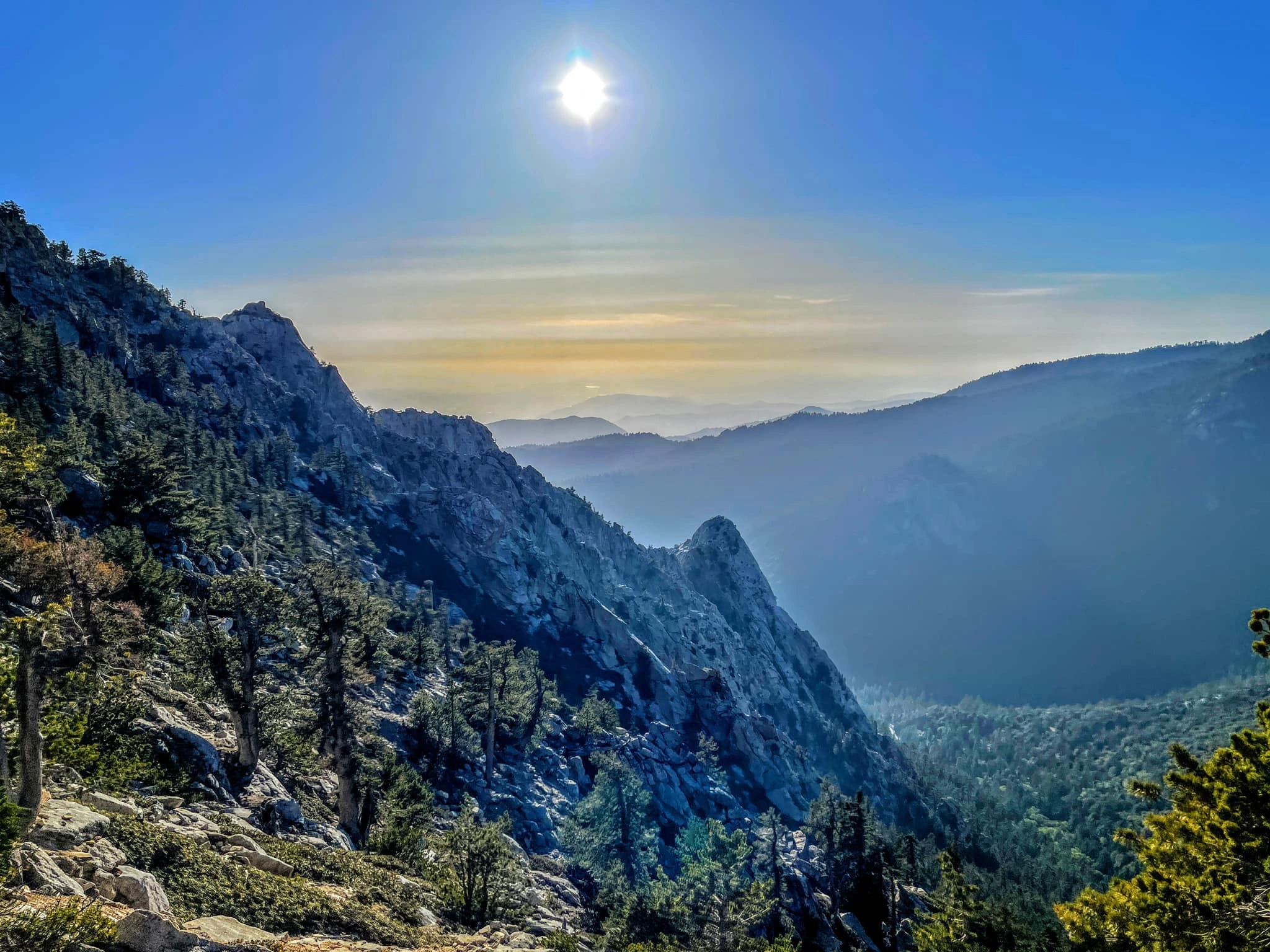 Lily, taken from Tahquitz