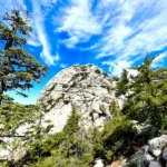 Lily Rock Summit Block