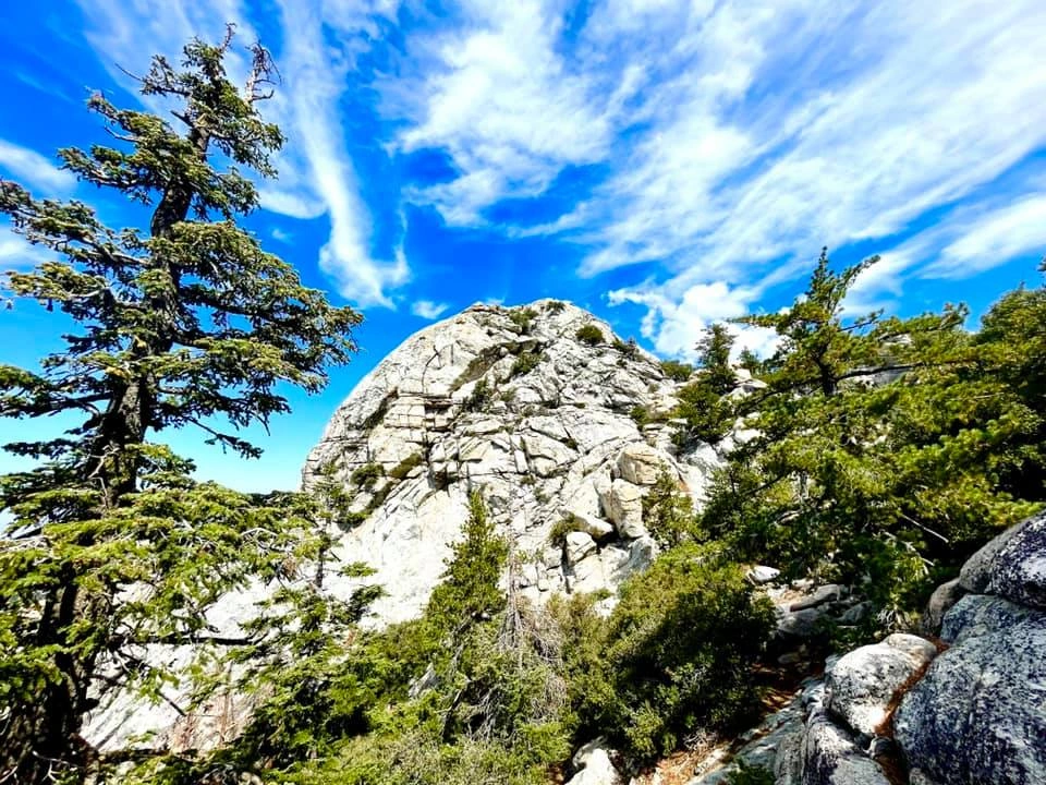 Lily Rock Summit Block