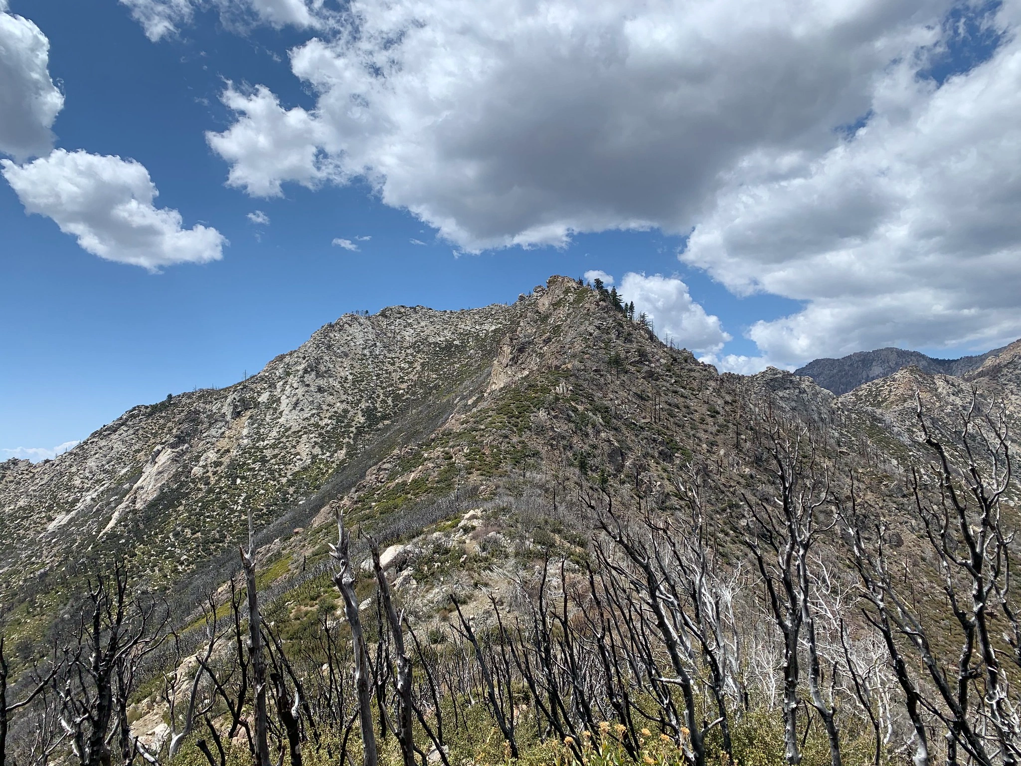 Antsell Rock, taken from DesertDivide
