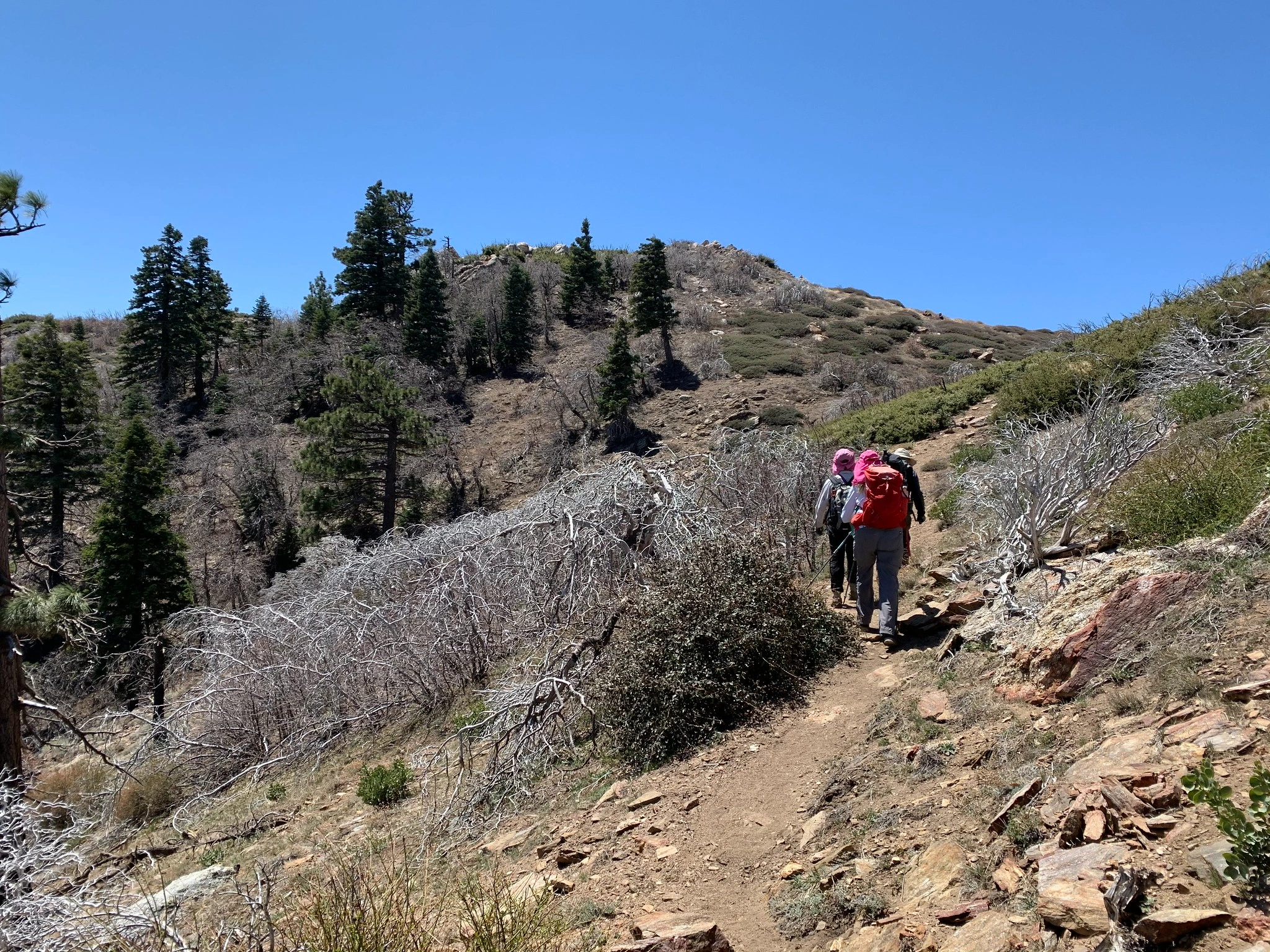 SpitlerPeak, taken from PCT