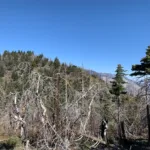 Palm View Peak