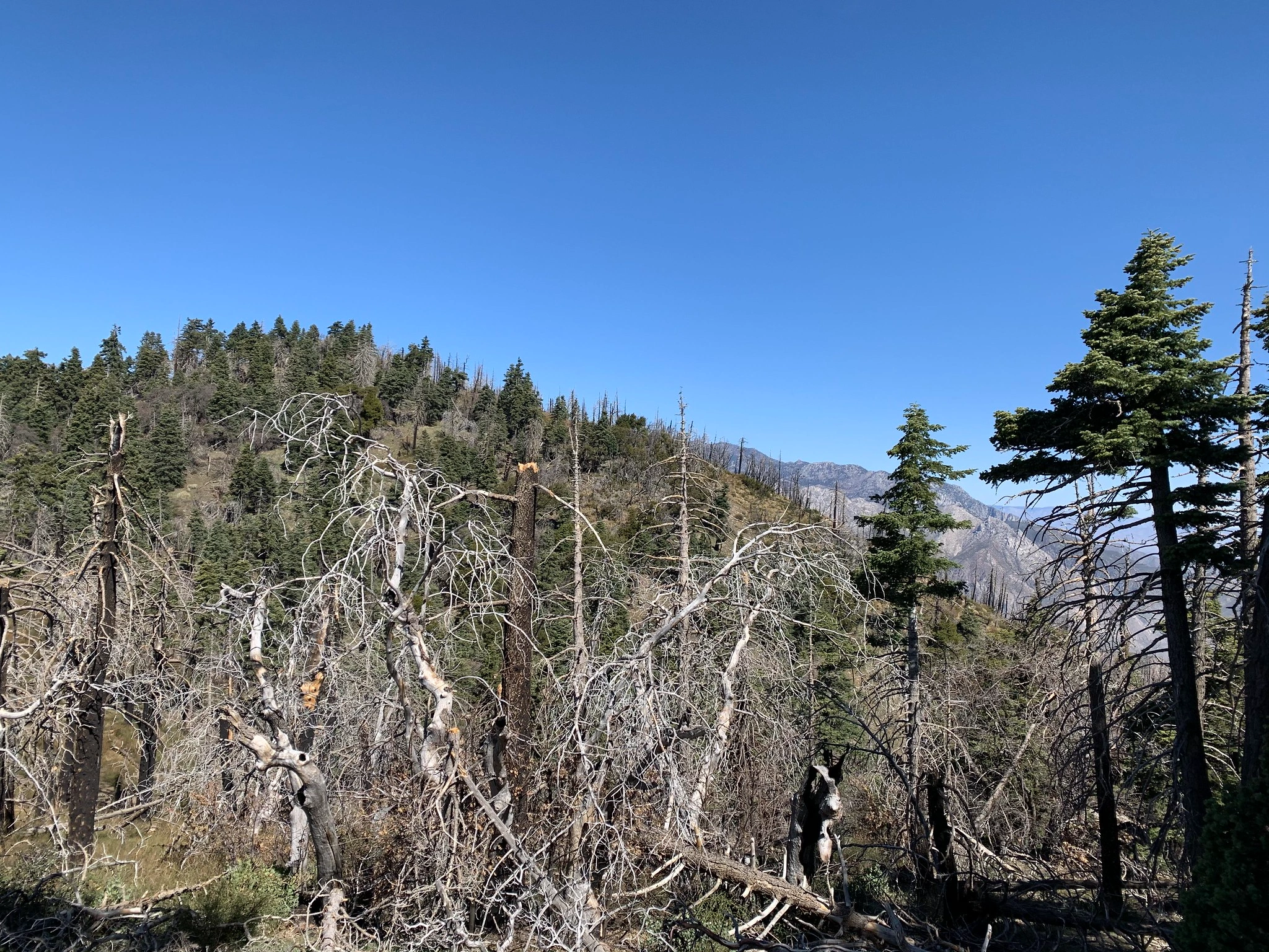 Palm View Peak