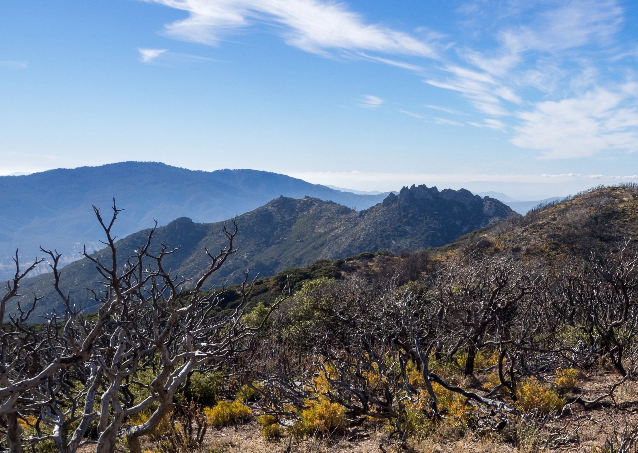 Cone, taken from Pct