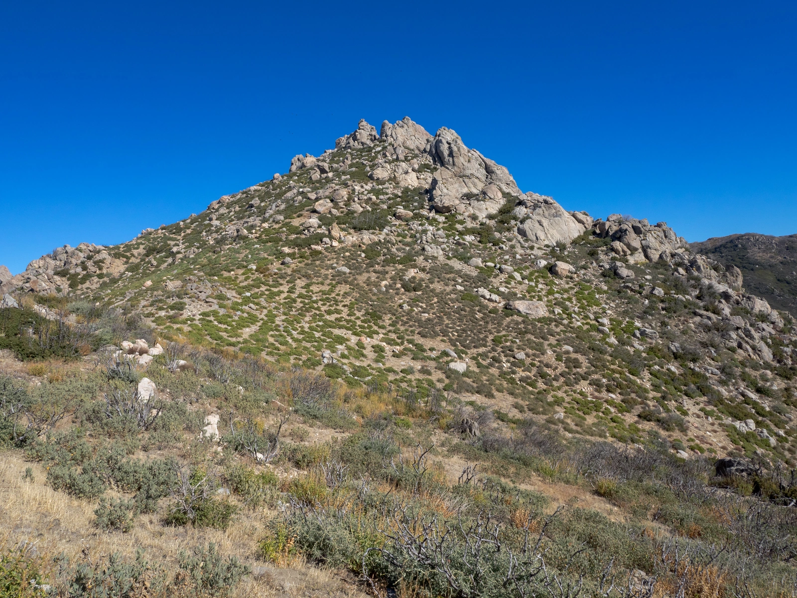 Cone Peak