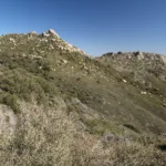 Pine Mountain #2