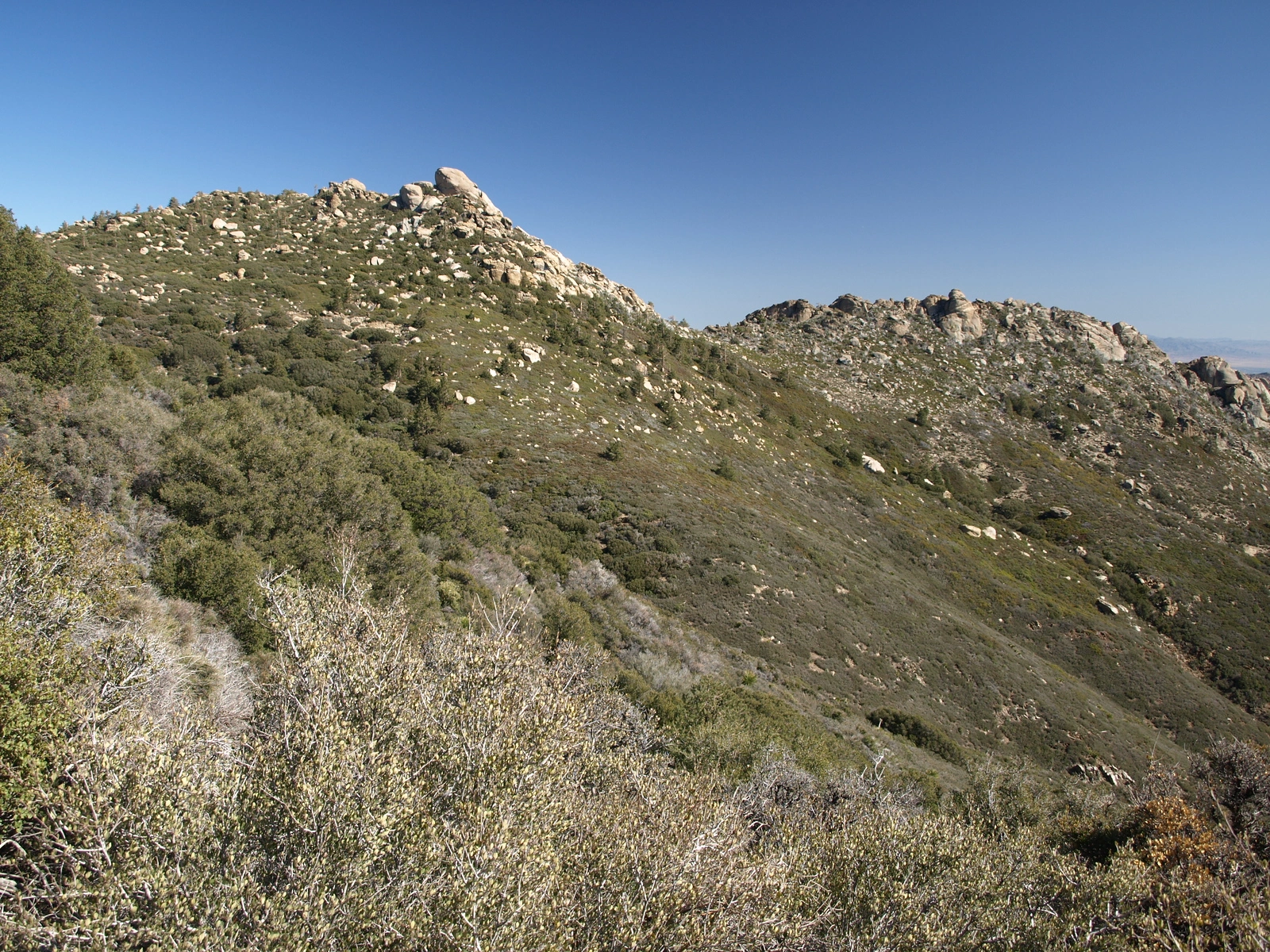 Pine Mountain #2