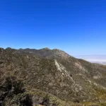 Pinemountain #2