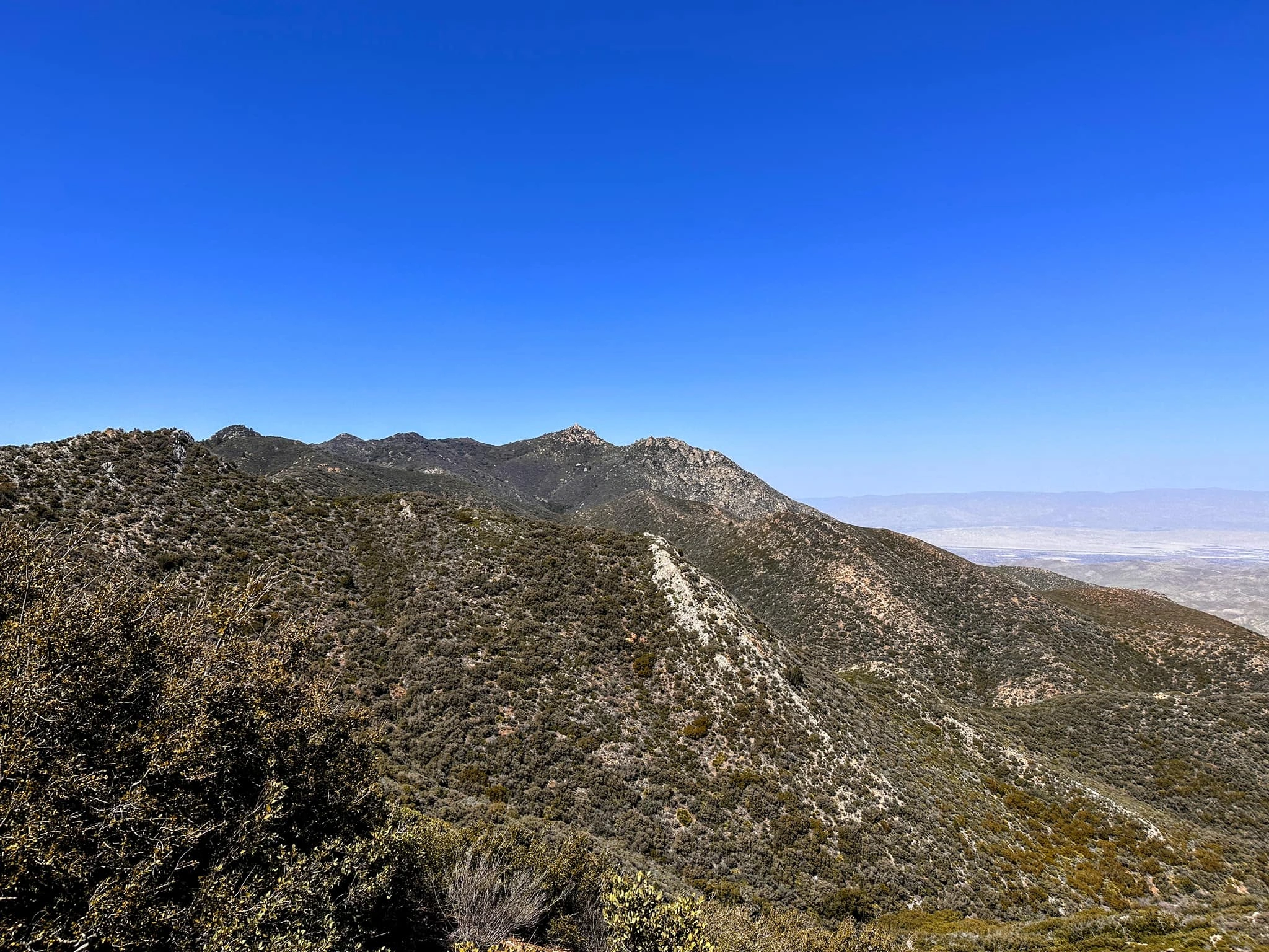 Pinemountain #2
