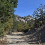 Rock Point