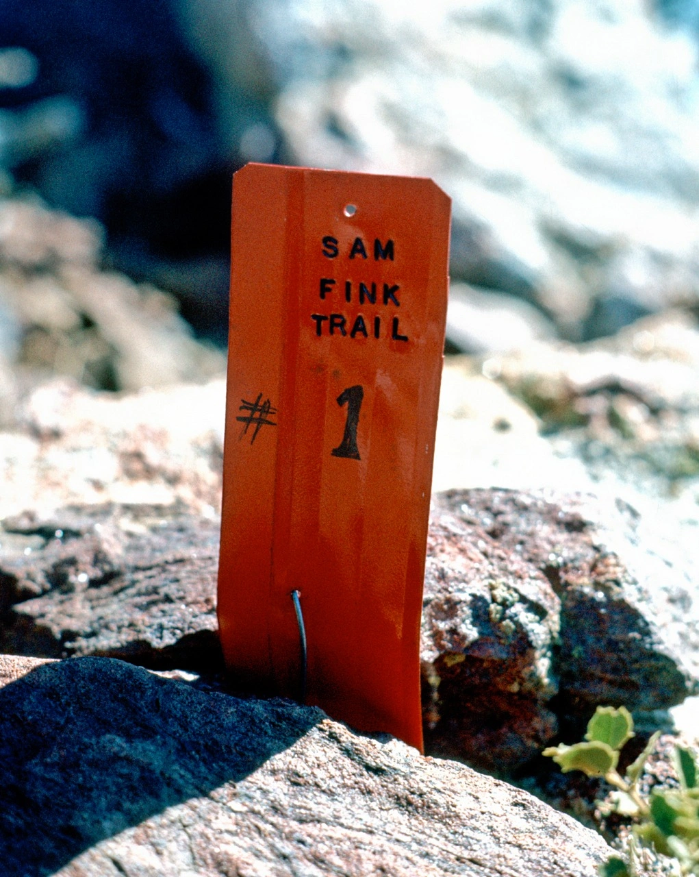 Marker on the Sam Fink Trail, which would become part of the PCT, 1973