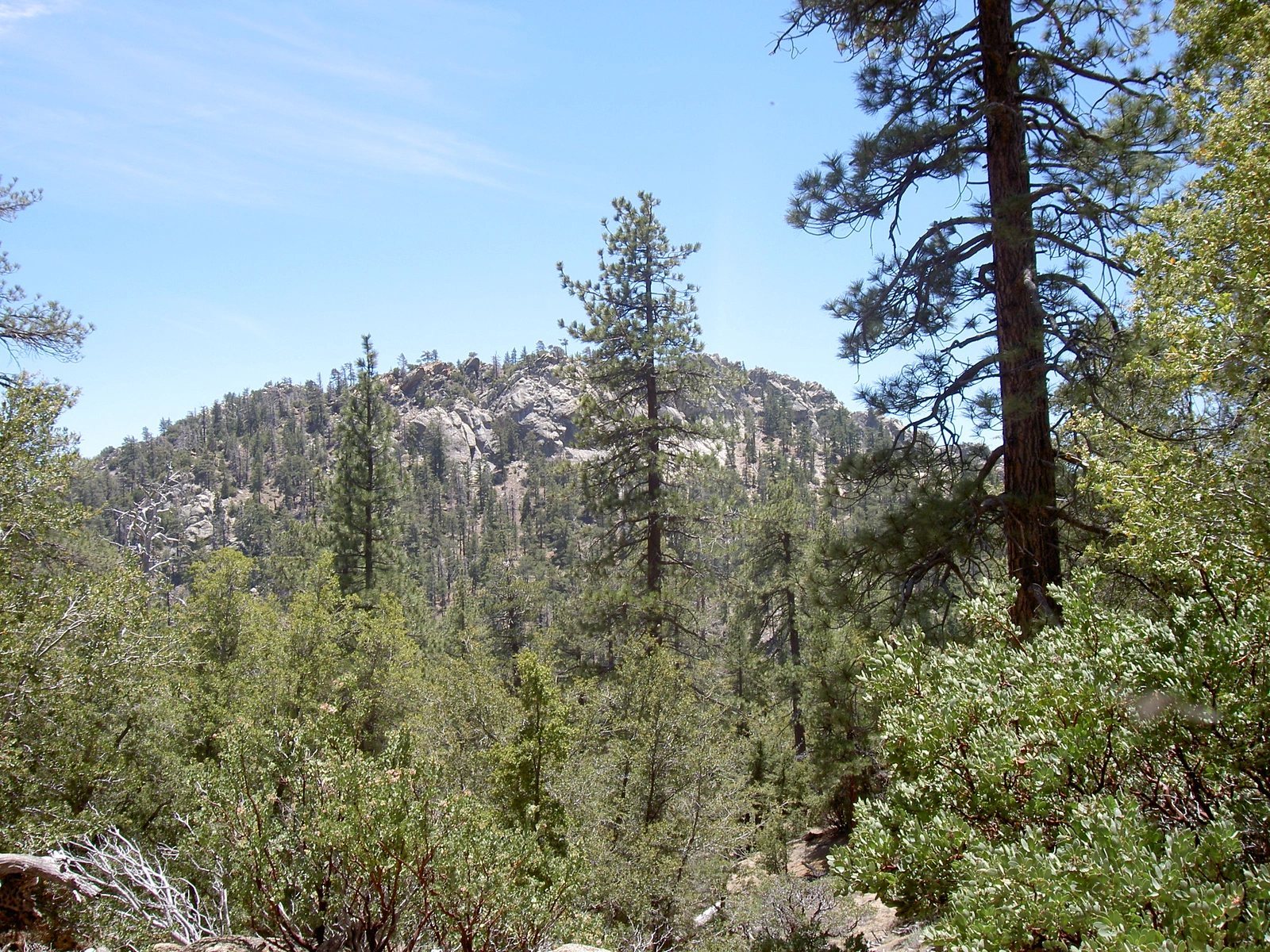 Sam Fink Peak