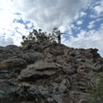 Little Cahuilla Mountain summit
