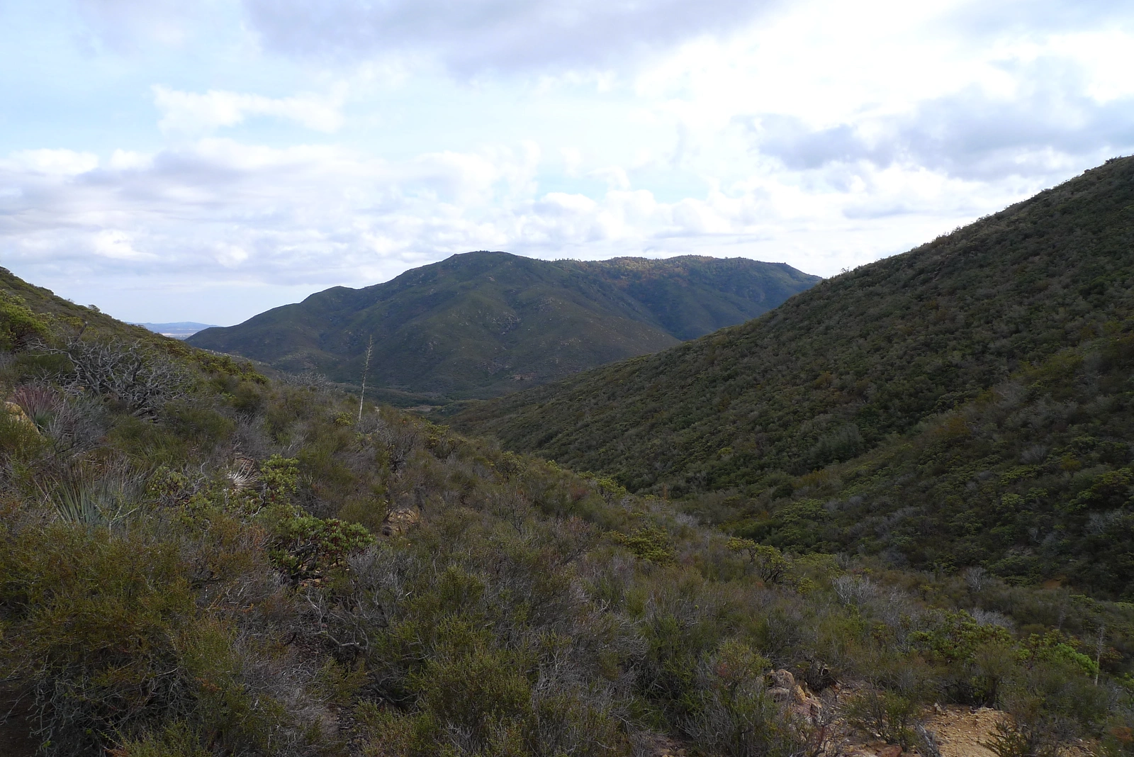 Cahuilla Mountain, taken from the trail to Little Cahuilla