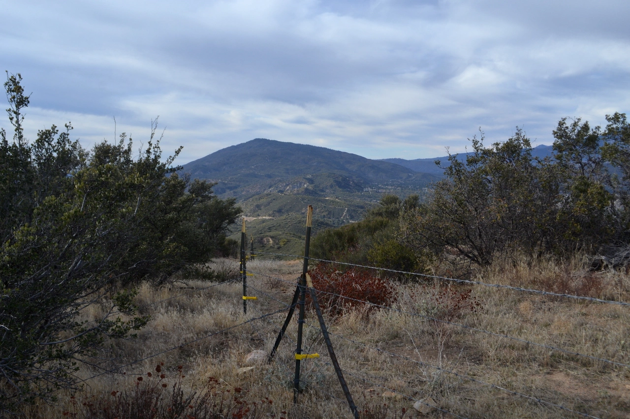 Thomas Mountain, taken from the Thomas Mouintain Trail