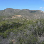29E_lookout1_wing