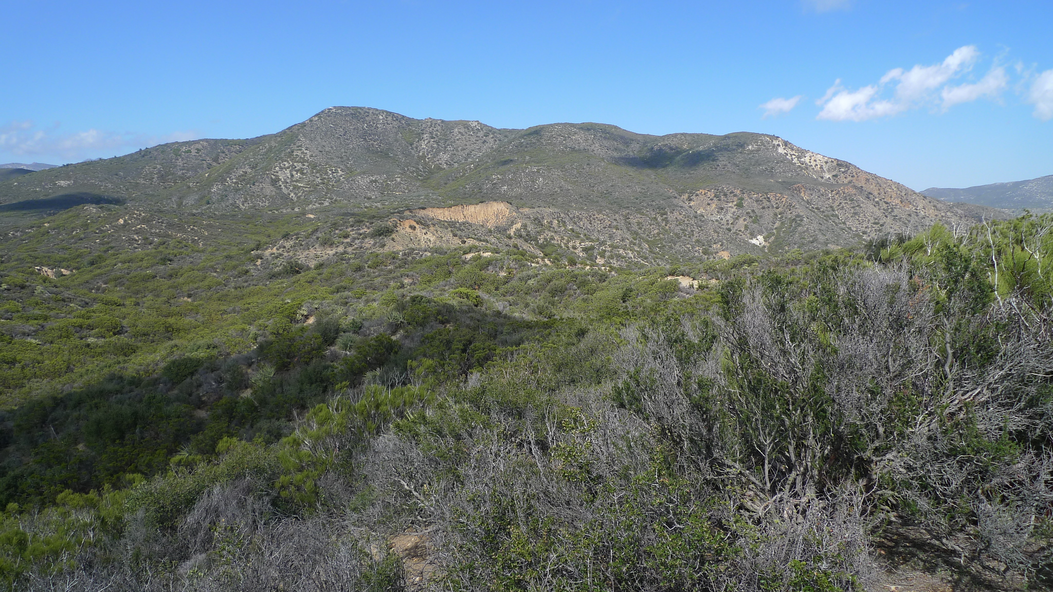 29E_lookout1_wing