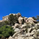 Asbestos Summit Block